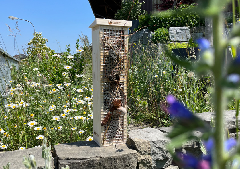 Wildbienenhaus