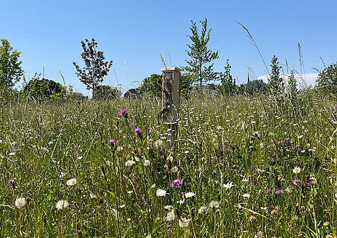 Wildbienenhaus