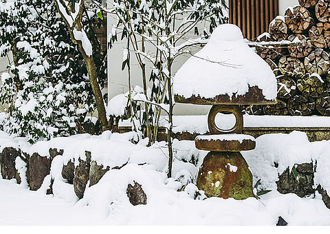 Gartensaison im Winter 