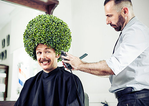 Bäume schneiden, wie beim Coiffeur 