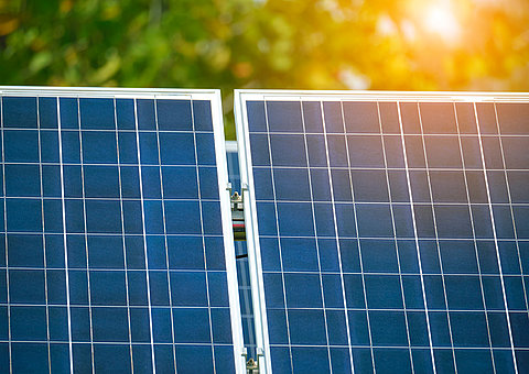 Waldburger Gartenbau nutzt die Sonnenenergie