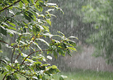 Wetterkapriolen