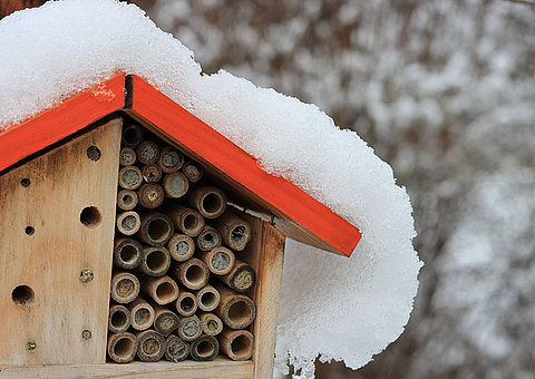 Sechs Anregungen für mehr Biodiversität